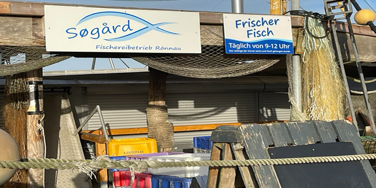 Sogard Frische Fische im Hafen von Laboe